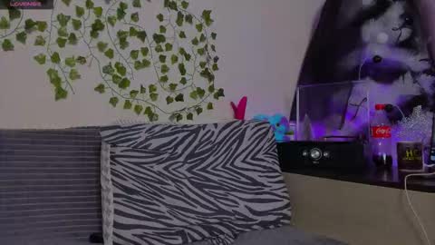 Johny Bravo online show from 01-13-26, 08:03