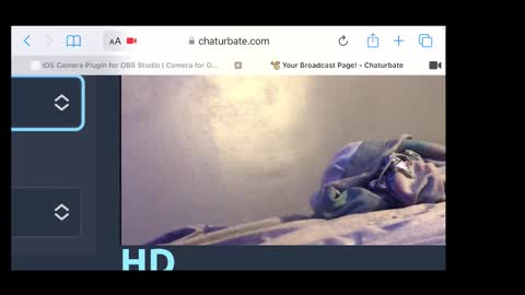 MANTE online show from 11-20-25, 02:34