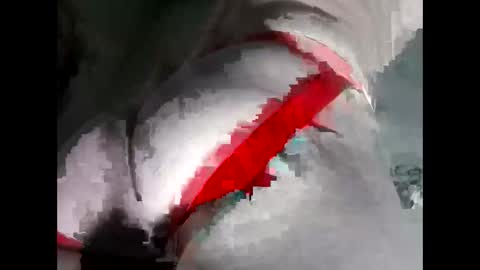 Anal-Prince online show from 11-19-25, 06:02