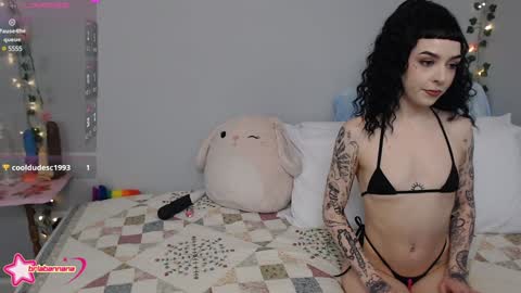 Snapshot of briabannana chatting on 12-12-24, 12:48 Brianna online show from 12-12-24, 12:48