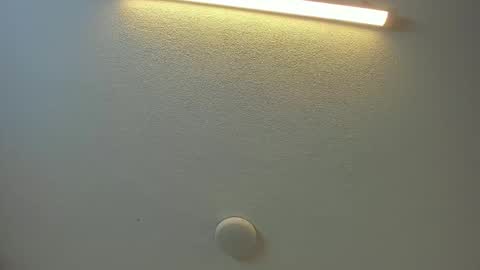 Brittany  online show from 02-08-26, 08:45