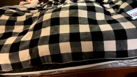 brownbootie1 online show from 01-07-25, 04:05