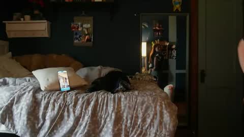 brunettebaby040 online show from 10-24-25, 04:47