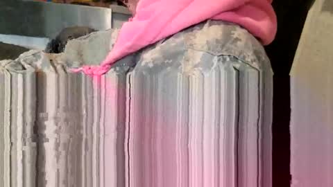 Steve... aka SkinnieDippin aka TimberTramp online show from 03-11-26, 08:59