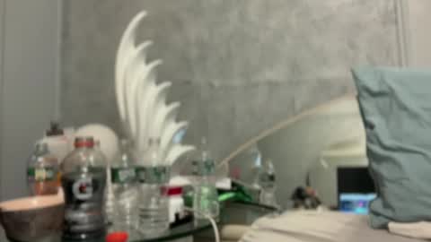 Snapshot of bubbahumps chatting on 01-12-25, 07:42 bubbahumps online show from 01-12-25, 07:42