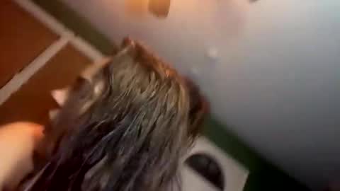 Snapshot of bugnbabs chatting on 11-28-25, 12:57 Yourtrippyhippy online show from 11-28-25, 12:57