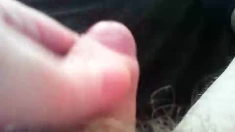 bullemoe online show from 11-04-25, 01:32