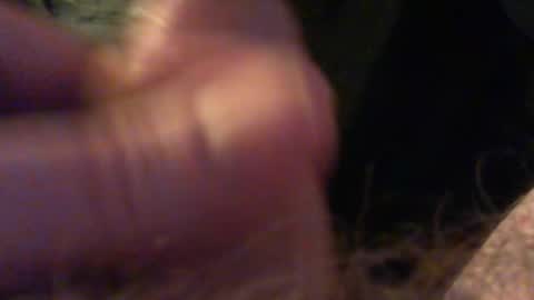 bullemoe online show from 12-15-25, 09:52