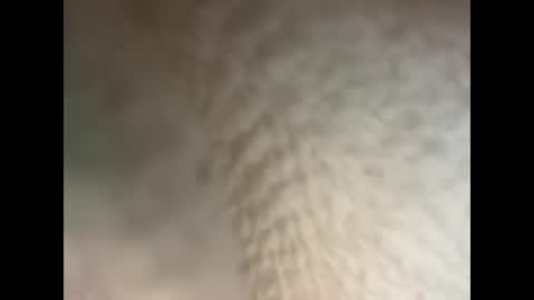 Snapshot of bullhungcub chatting on 12-05-24, 11:40 bull cub online show from 12-05-24, 11:40