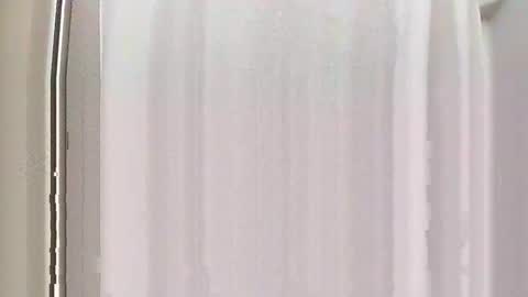 Snapshot of burnout1315 chatting on 12-28-24, 05:03 Burnout1315 online show from 12-28-24, 05:03