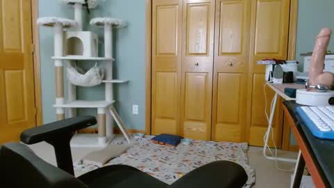 bxdieelatina online show from 11-14-25, 06:39