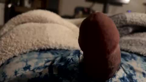 Snapshot of byrdbean chatting on 01-17-26, 07:46 byrdbean online show from 01-17-26, 07:46