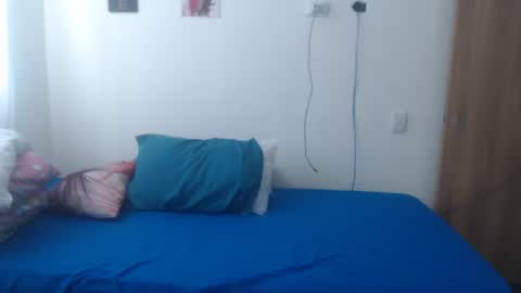 Snapshot of camila_rouswhyth chatting on 12-05-25, 02:36 camila_rouswhyth online show from 12-05-25, 02:36