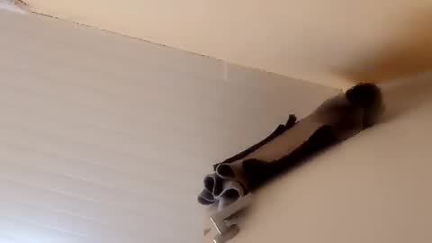 Snapshot of camilarubla chatting on 12-01-25, 06:46 camilarubla online show from 12-01-25, 06:46