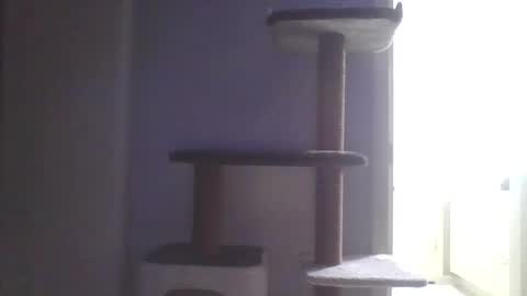 Snapshot of cammyman6900 chatting on 11-09-25, 04:55 cammyman6900 online show from 11-09-25, 04:55