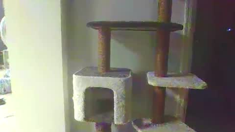 Snapshot of cammyman6900 chatting on 11-20-25, 04:34 cammyman6900 online show from 11-20-25, 04:34