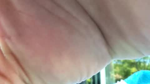 camronleehamilton online show from 11-12-25, 09:03