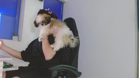 candy_giuliana21 online show from 04-17-26, 12:02