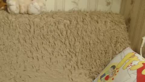 Snapshot of candylady13 chatting on 01-19-25, 03:53 say meow and send tips online show from 01-19-25, 03:53