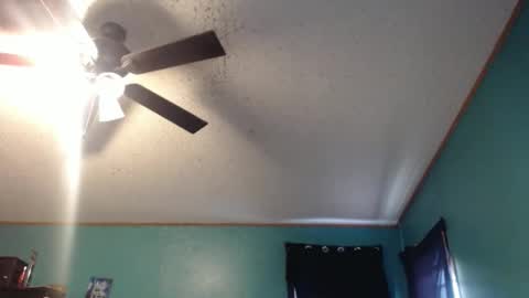 candyshop2024 online show from 12-17-25, 12:55