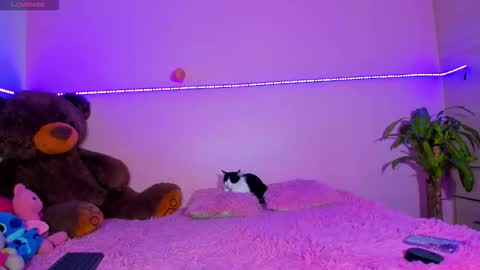 Onika   instagram   canndy888  online show from 10-12-25, 01:37