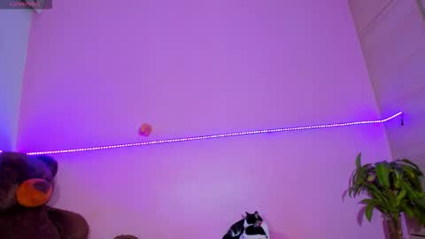 Onika   instagram   canndy888  online show from 11-02-25, 02:36