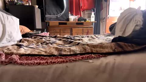 Bbc always ready balls insta bmac capone online show from 11-28-25, 08:11