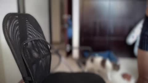 Snapshot of carlcarlinches4 chatting on 03-10-25, 02:59 carlcarlinches4 online show from 03-10-25, 02:59