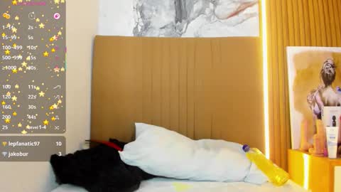 OSNA online show from 03-21-26, 08:19