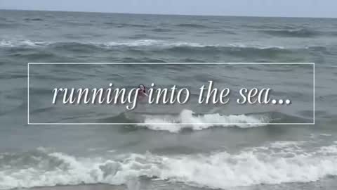 carrie madsin online show from 12-02-25, 11:00