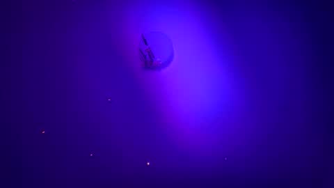 Snapshot of casidy1 chatting on 01-21-25, 06:00 casidy1 online show from 01-21-25, 06:00