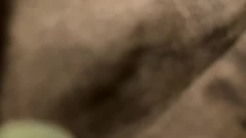 Snapshot of casidy1 chatting on 02-02-25, 11:21 casidy1 online show from 02-02-25, 11:21