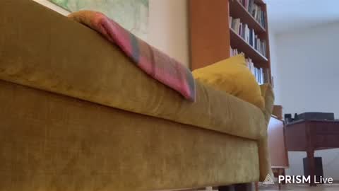 Snapshot of casperdavidfriedrich chatting on 02-14-26, 03:53 casperdavidfriedrich online show from 02-14-26, 03:53