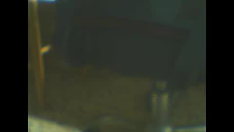 Snapshot of castells chatting on 10-20-25, 05:02 castells online show from 10-20-25, 05:02