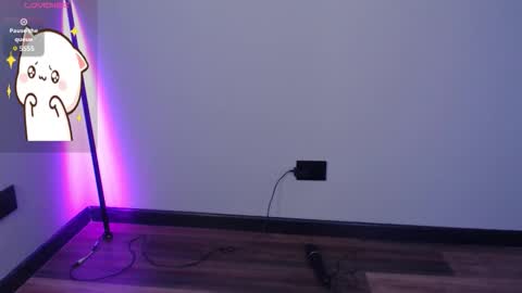 cat online show from 11-25-25, 12:32