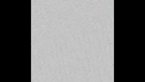 cat_cash_ online show from 09-12-25, 05:51