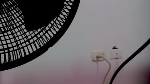 Snapshot of catalaia_stomm chatting on 01-17-25, 01:24 catalaia_stomm online show from 01-17-25, 01:24
