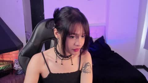 Cat  online show from 12-24-24, 04:30