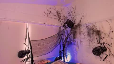 Catleya  online show from 11-01-25, 08:33