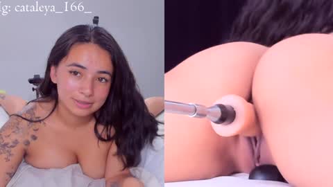 Cattleya Annie  online show from 12-31-24, 12:43