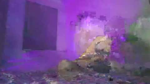 Snapshot of cazrus chatting on 02-24-26, 02:48 cazrus online show from 02-24-26, 02:48