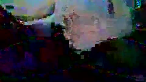 PureLeaf1990 online show from 01-05-25, 03:32