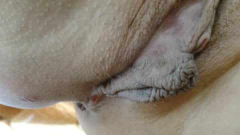 ANNYANNY online show from 03-24-26, 05:51