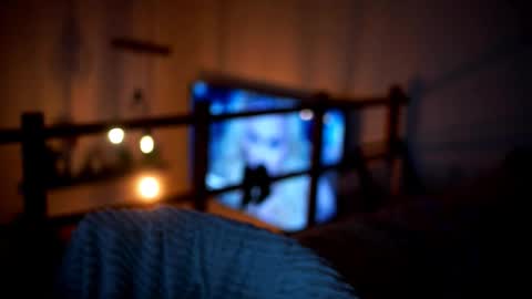 Snapshot of celeste_www chatting on 02-14-26, 05:10 Sunflower online show from 02-14-26, 05:10