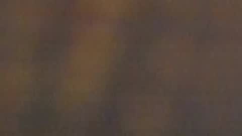 celestepink_jl online show from 11-10-25, 12:42