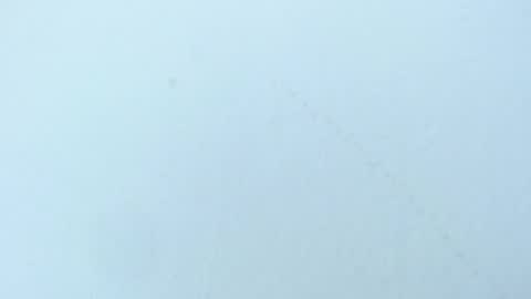 celiani_caleb online show from 11-03-25, 03:08