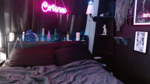 Snapshot of cerianex chatting on 03-11-25, 08:09 Averi online show from 03-11-25, 08:09