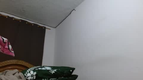 Snapshot of cesar_master_ chatting on 10-17-25, 07:27 cesar_master_ online show from 10-17-25, 07:27