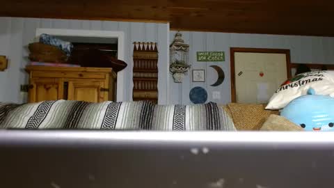 cguffey2284 online show from 12-29-24, 07:00