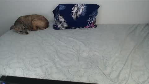 Snapshot of chanelsexyy chatting on 12-10-24, 10:47 Viviana 3 online show from 12-10-24, 10:47